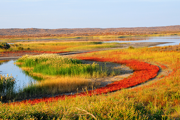 Aydarkul Lake Fishing