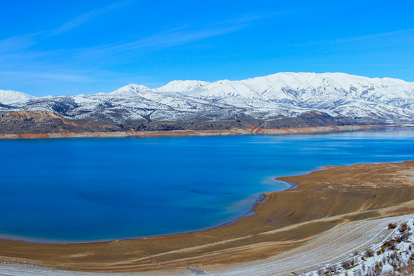 Rainbow Trout Fishing