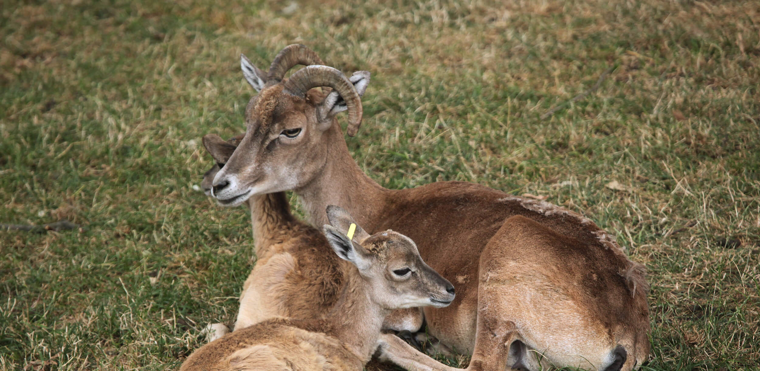 ecological-tours-in-uzbekistan