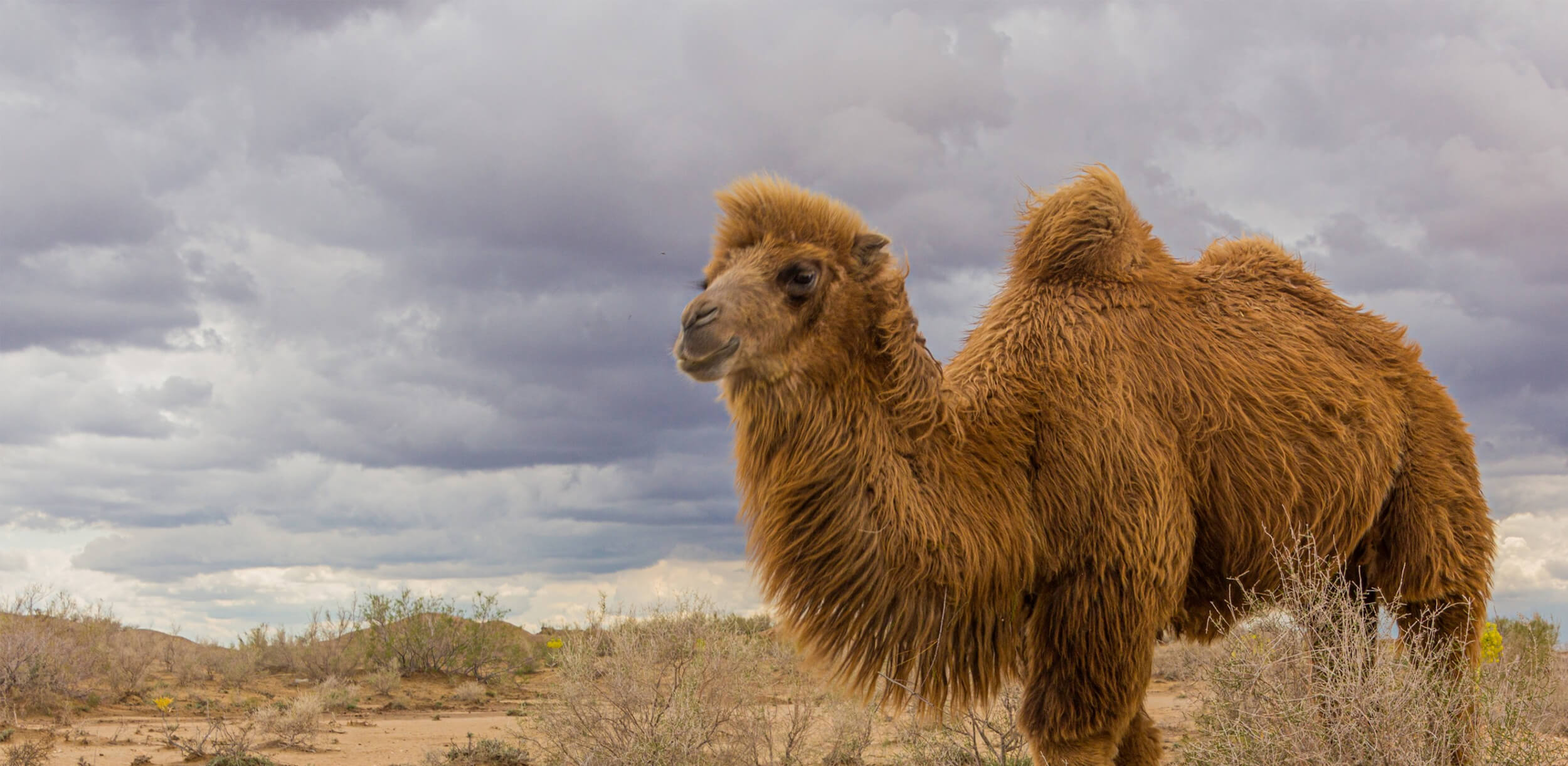 extreme-&-adventure-tours-in-uzbekistan