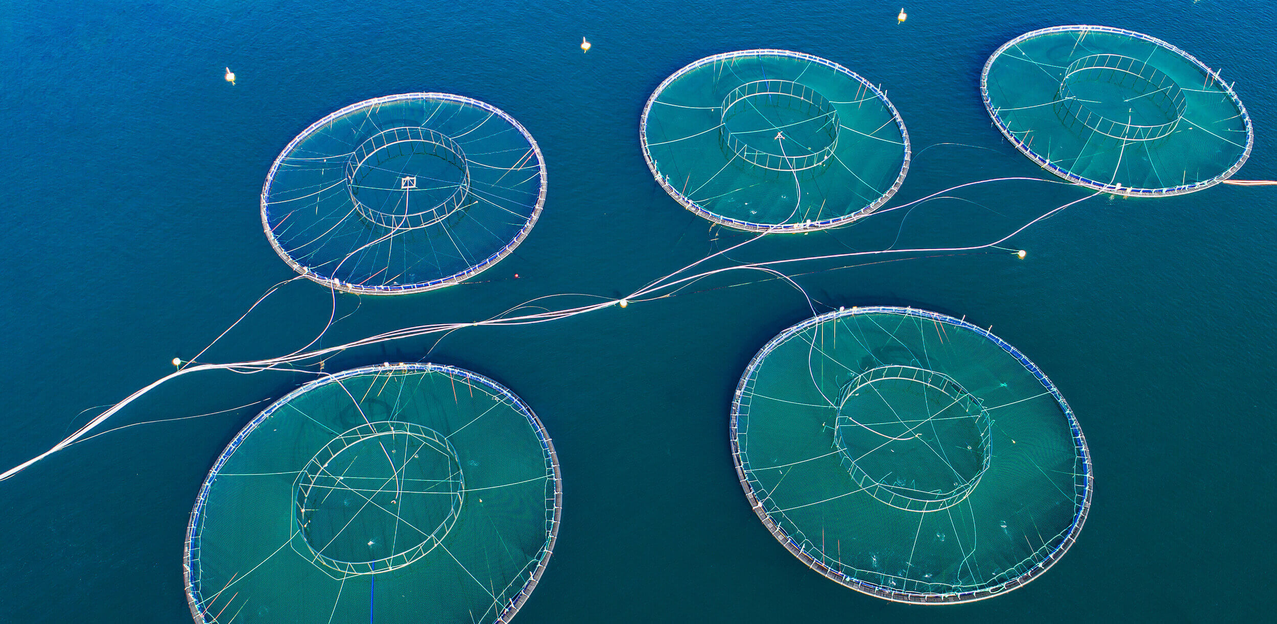 knowledge-exchange-tours