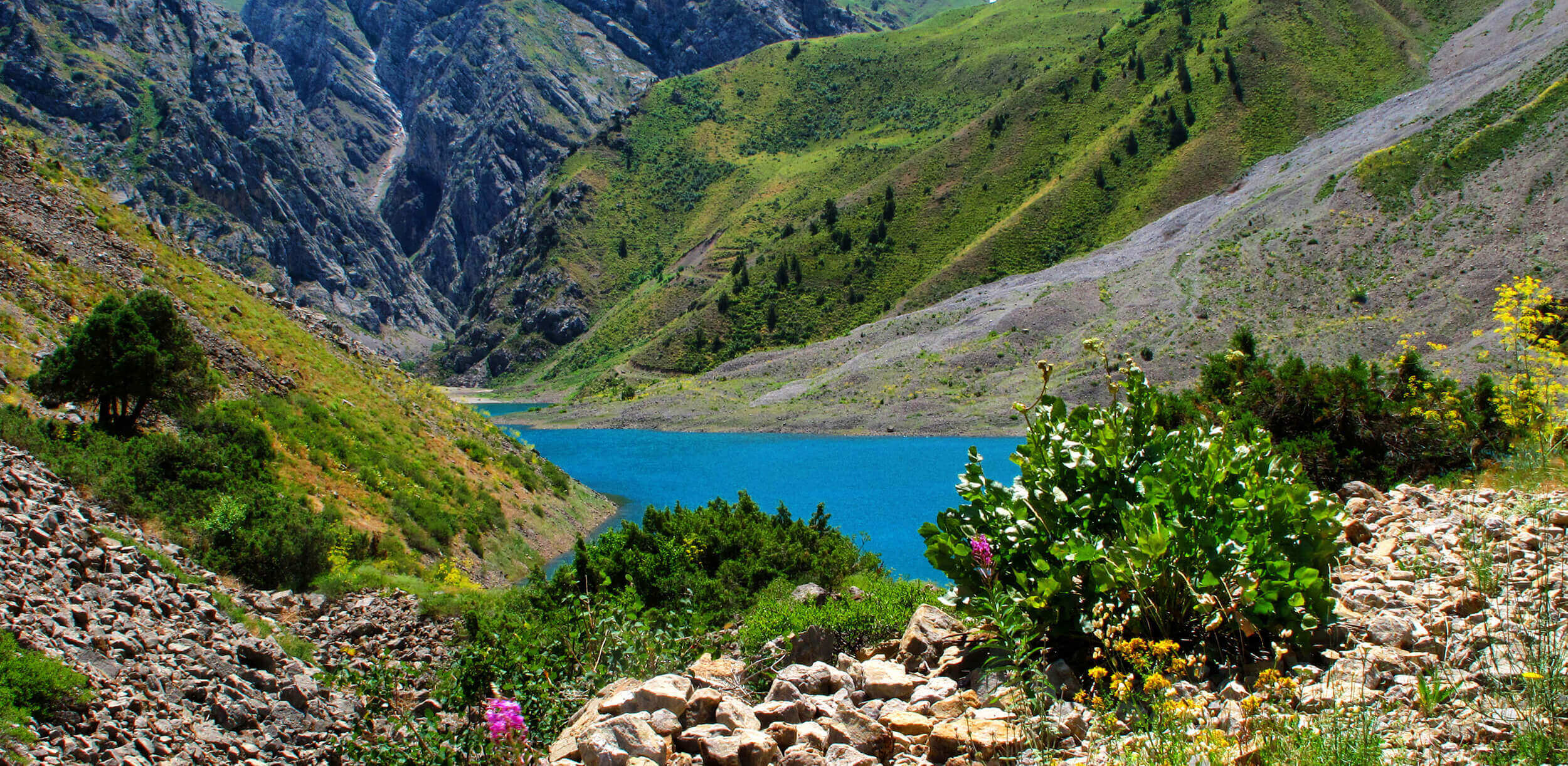 medical-tours-in-uzbekistan