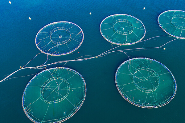 Knowledge Exchange Tours