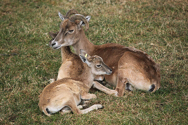 Ecological Tours in Uzbekistan