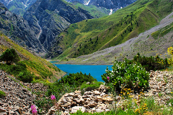 Medical Tours in Uzbekistan